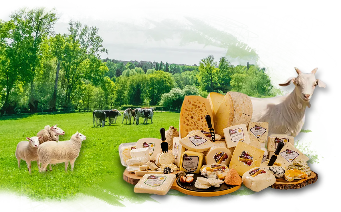 İlhamımız Doğa copy