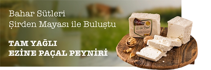 Banner-Ezine-Paçal-Peyniri
